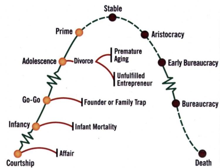 lifecyclechart