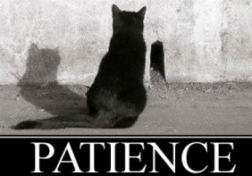 patience