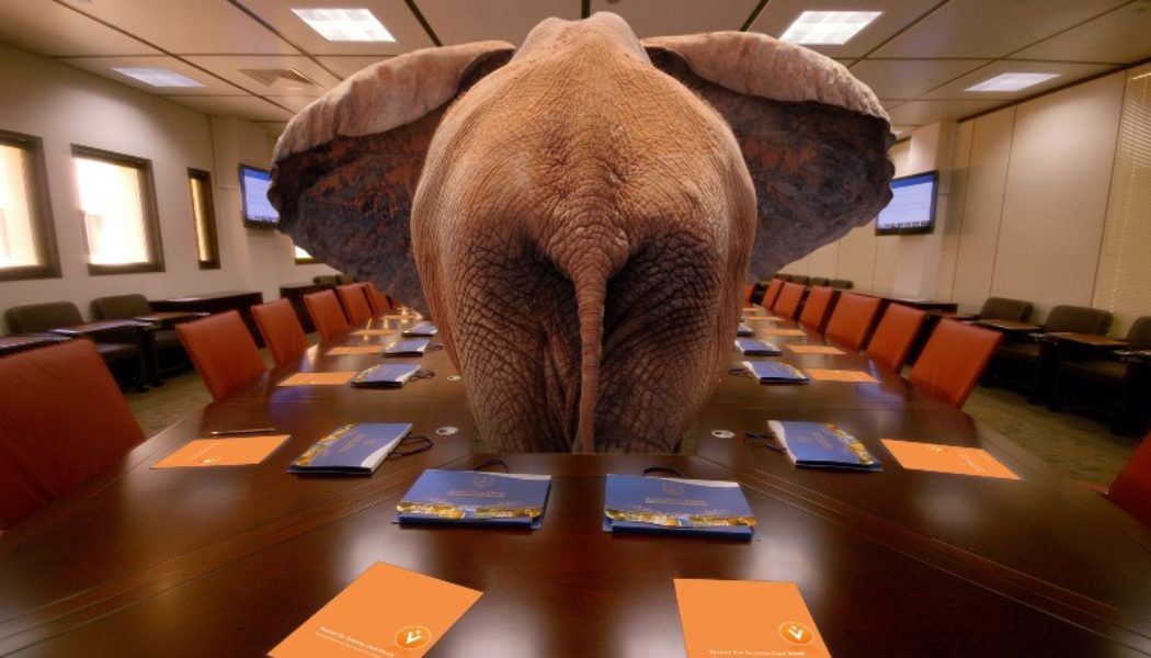 The elephants in the room of B2B ecommerce