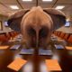 The elephants in the room of B2B ecommerce