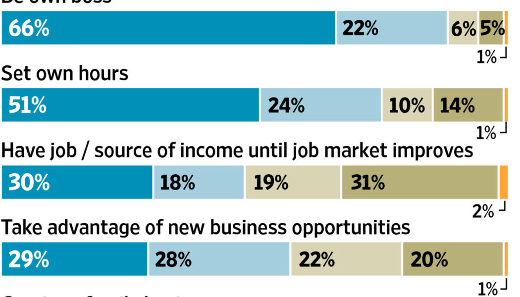 Why become an Entrepreneur? And why Not?