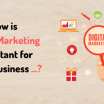 Digital Marketing for Small Companies