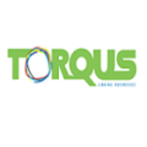 Profile picture of Torqus System
